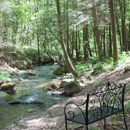 Private Creekside Cabin+Hot Tub,Pool Table, & Pets Ellijay Esterno foto